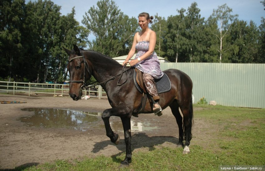 Верхом. День Конника — Авторские игрушки из разных материалов: синельная проволока