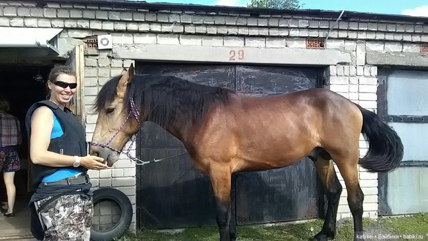 Верхом. День Конника — Авторские игрушки из разных материалов: синельная проволока