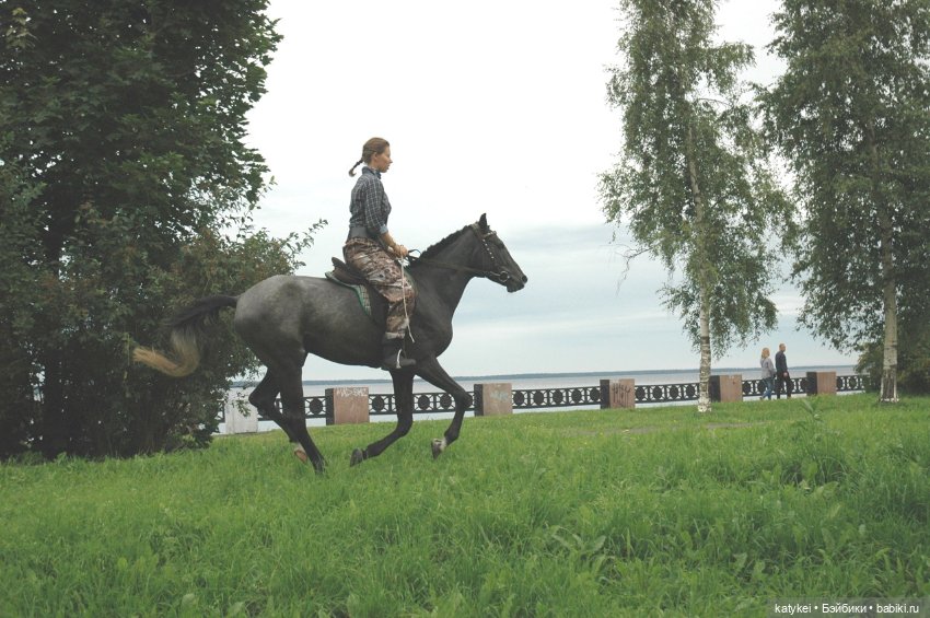 Верхом. День Конника — Авторские игрушки из разных материалов: синельная проволока