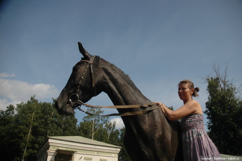 Верхом. День Конника — Авторские игрушки из разных материалов: синельная проволока