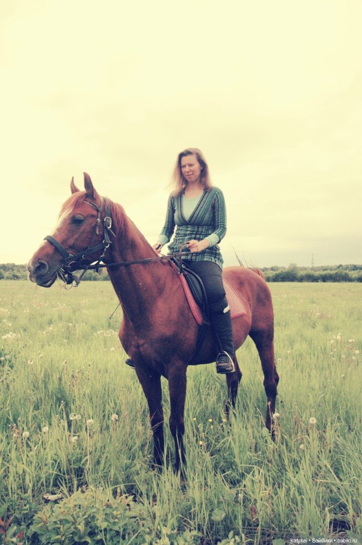 Верхом. День Конника — Авторские игрушки из разных материалов: синельная проволока