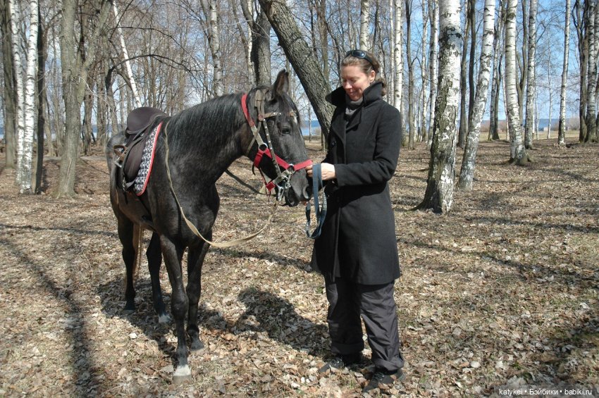 Верхом. День Конника — Авторские игрушки из разных материалов: синельная проволока