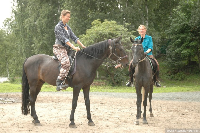 Верхом. День Конника — Авторские игрушки из разных материалов: синельная проволока