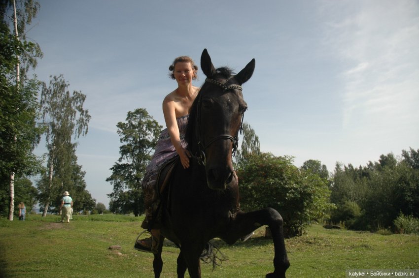 Верхом. День Конника — Авторские игрушки из разных материалов: синельная проволока