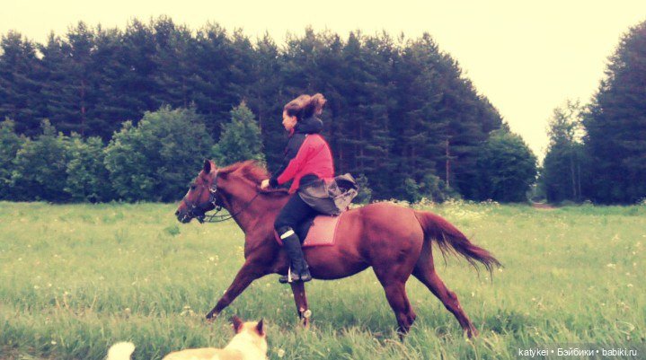 Верхом. День Конника — Авторские игрушки из разных материалов: синельная проволока