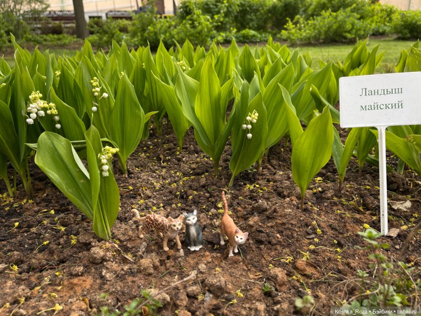 Некиса и майский парк — Интересные игрушки и фигурки (разное): редкие (фото 3)