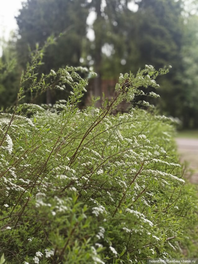 Останови мгновение. Экскурсия по суровой весне 2022г (фото 8)