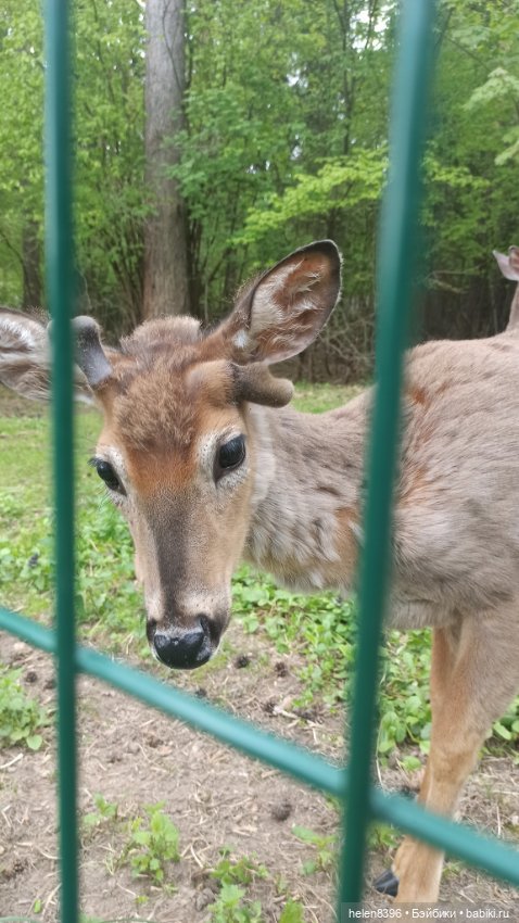 Останови мгновение. Экскурсия по суровой весне 2022г