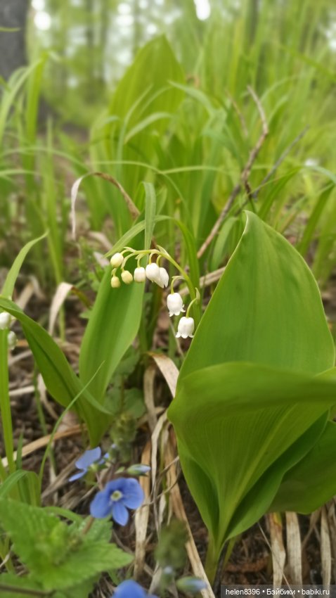 Останови мгновение. Экскурсия по суровой весне 2022г (фото 3)