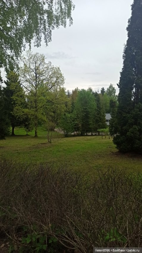 Останови мгновение. Экскурсия по суровой весне 2022г