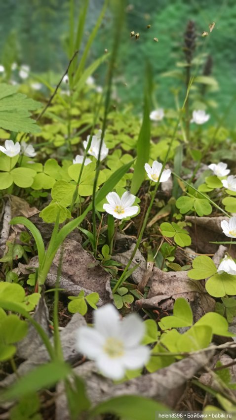 Останови мгновение. Экскурсия по суровой весне 2022г
