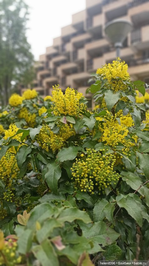 Останови мгновение. Экскурсия по суровой весне 2022г (фото 5)