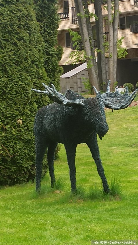 Останови мгновение. Экскурсия по суровой весне 2022г (фото 10)