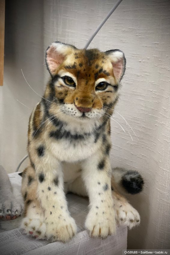 Международная выставка кукол и мишек тедди «Время кукол» в Санкт -Петербурге