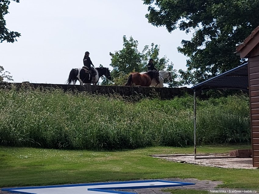 Fashion Dolls 371 — Туризм и путешествия: фотоотчеты из поездок