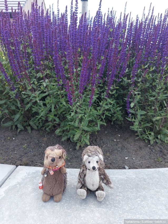 Fashion Dolls 371 — Туризм и путешествия: фотоотчеты из поездок (фото 10)