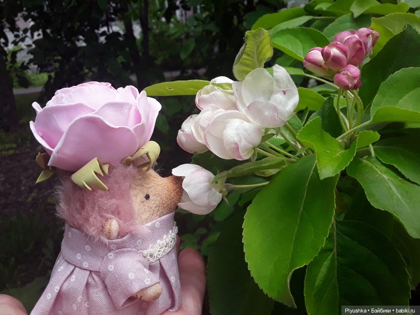 Яблоневый цвет — Домашние фото авторских игрушек: Тедди (фото 6)