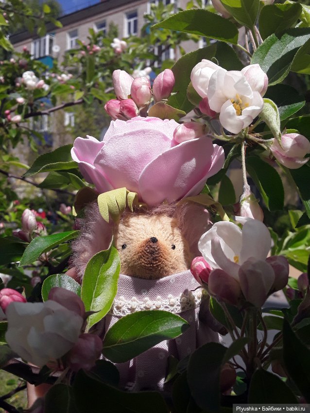 Яблоневый цвет — Домашние фото авторских игрушек: Тедди (фото 4)