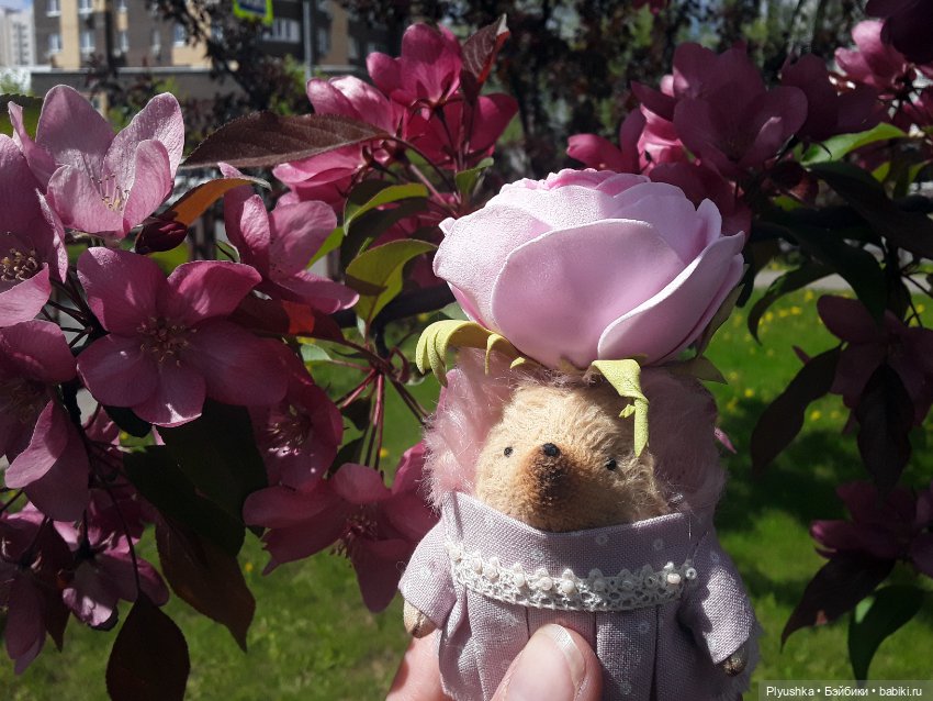 Яблоневый цвет — Домашние фото авторских игрушек: Тедди