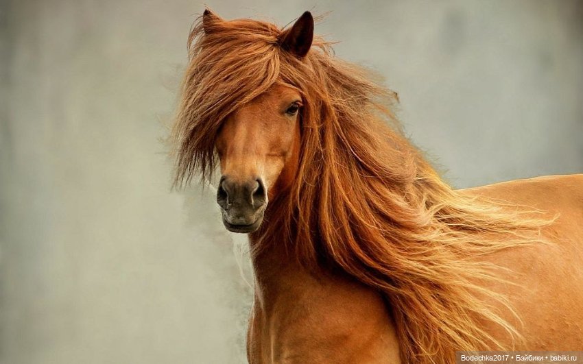 С Днем рыжих — Коллекционные игрушки и фигурки: Lego (фото 5)