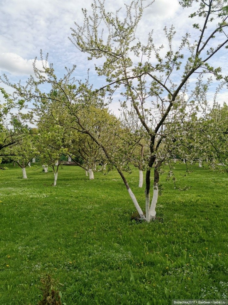 Моя новенькая рыженькая девочка