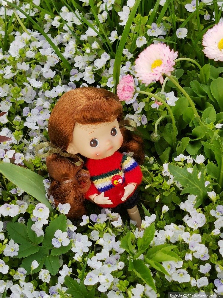 Моя новенькая рыженькая девочка