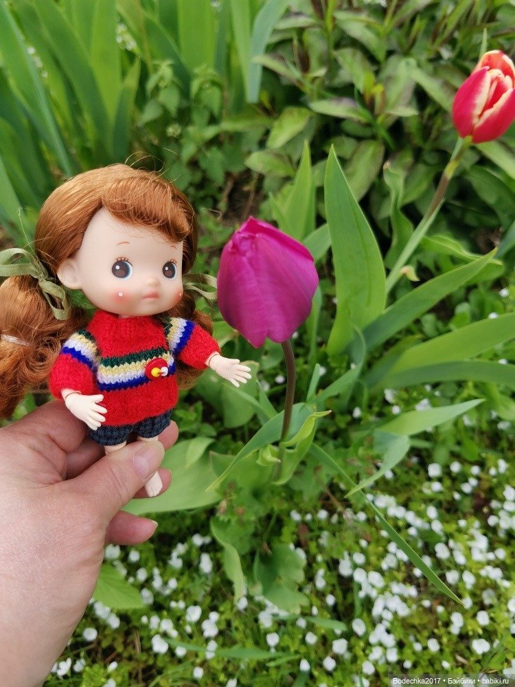 Моя новенькая рыженькая девочка (фото 6)