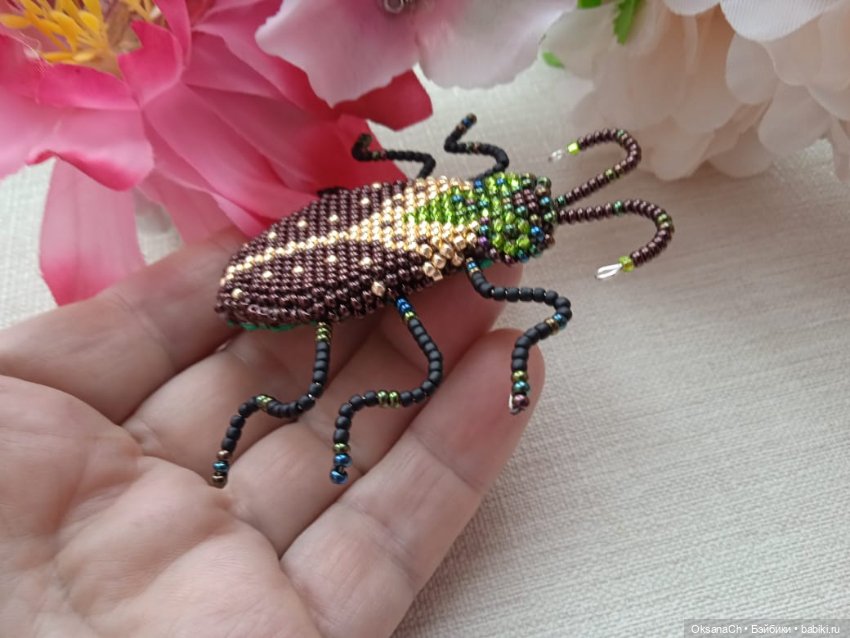 Пожужжим — Другие хобби и увлечения: сад (фото 9)