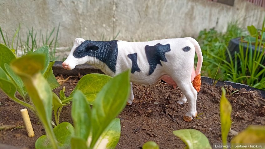 Новоселье. Realpuki. 162 — Фотоистории с куклами BJD (БЖД): сериалы (фото 4)