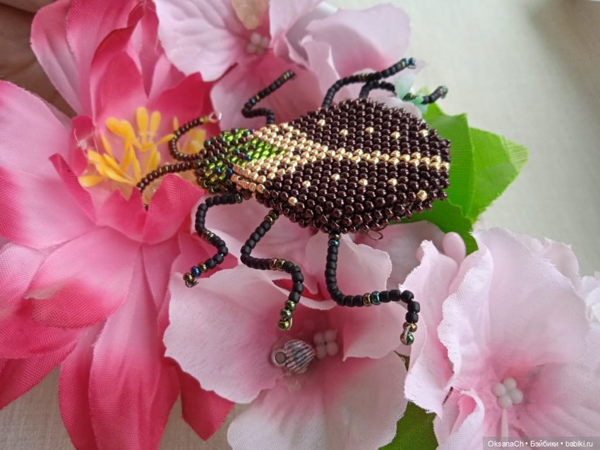 Пожужжим — Другие хобби и увлечения: сад (фото 6)