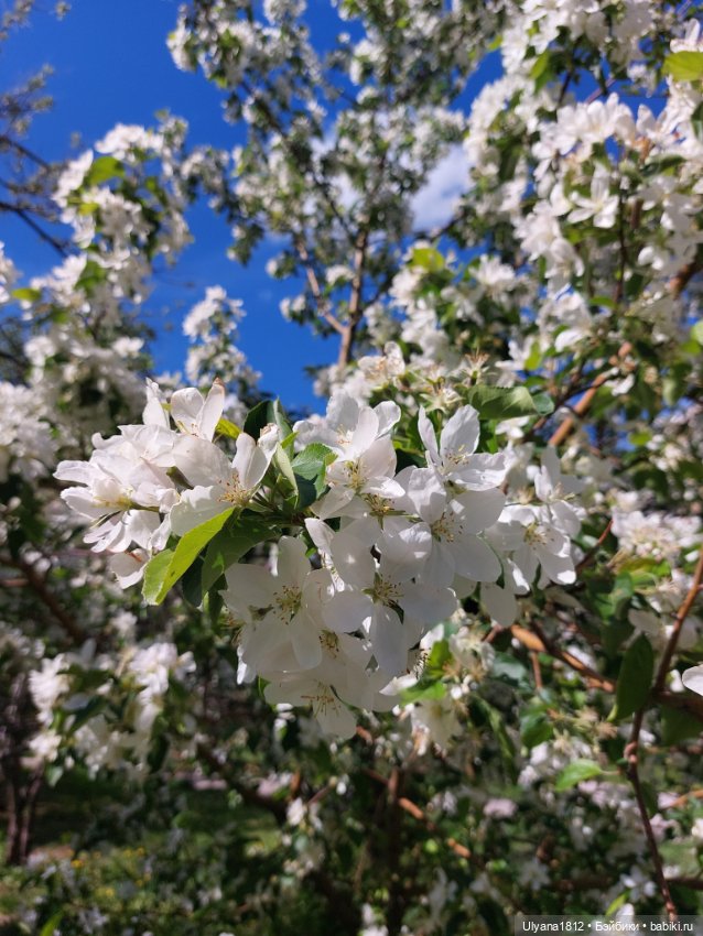 Неожиданное пополнение в куклосемействе💖