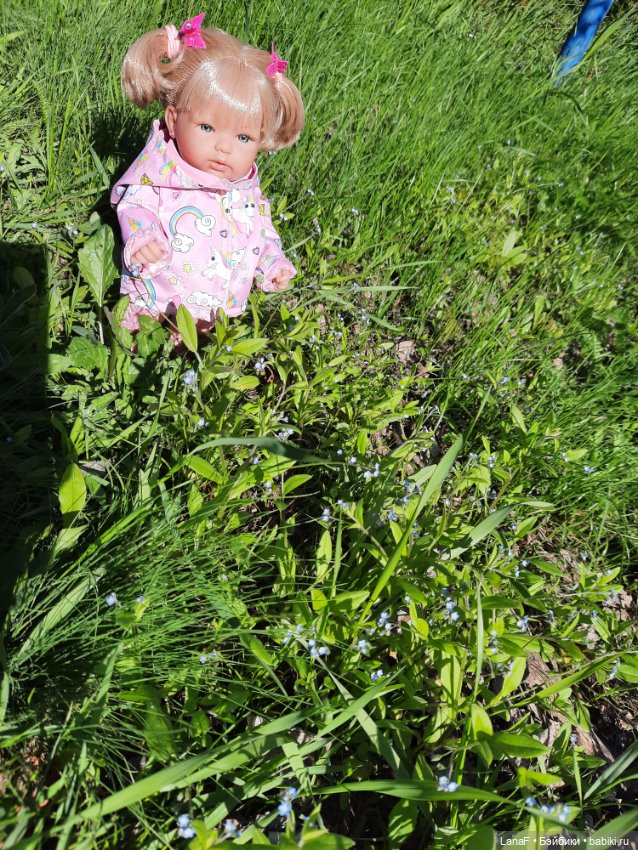 Приглашаем на прогулку в лесопарк (фото 6)