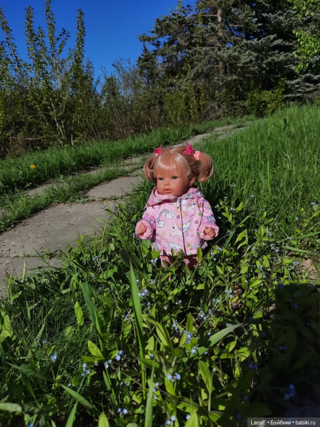 Приглашаем на прогулку в лесопарк (фото 2)