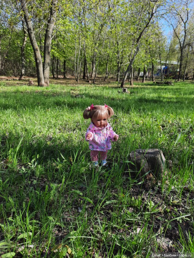 Приглашаем на прогулку в лесопарк