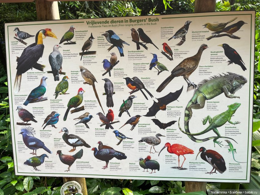 Fashion Dolls 372 — Туризм и путешествия: фотоотчеты из поездок (фото 4)