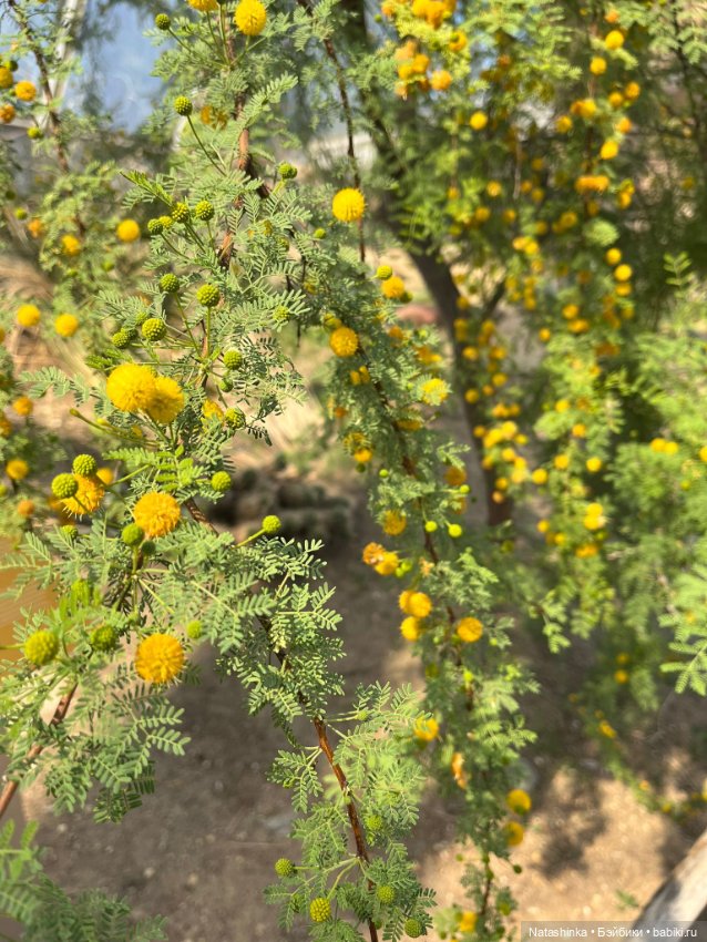 Fashion Dolls 372 — Туризм и путешествия: фотоотчеты из поездок (фото 2)