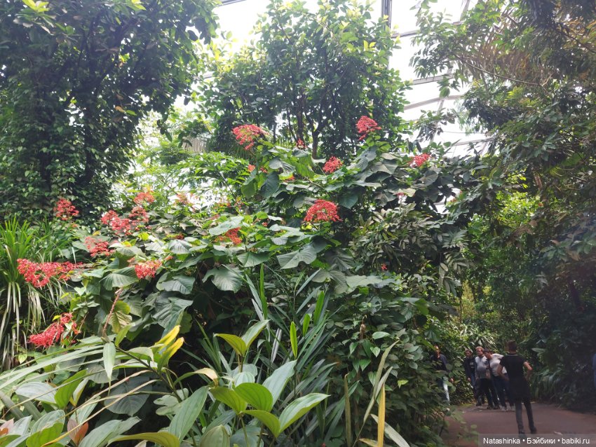 Fashion Dolls 372 — Туризм и путешествия: фотоотчеты из поездок