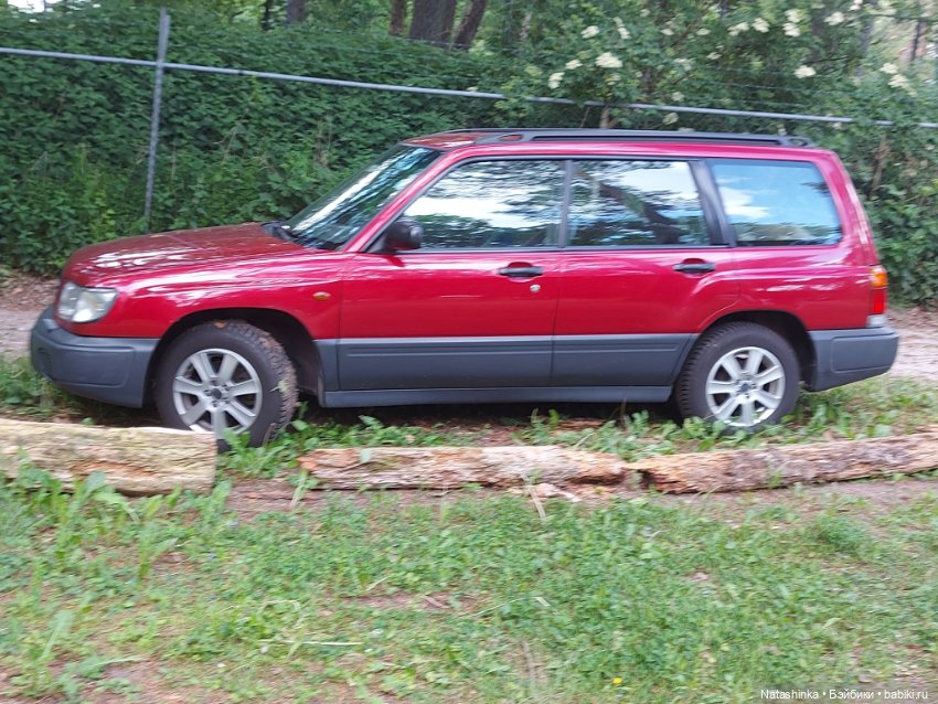 Fashion Dolls 372 — Туризм и путешествия: фотоотчеты из поездок