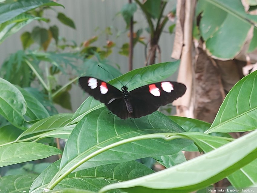 Fashion Dolls 372 — Туризм и путешествия: фотоотчеты из поездок