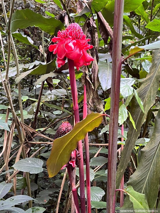 Fashion Dolls 372 — Туризм и путешествия: фотоотчеты из поездок (фото 5)