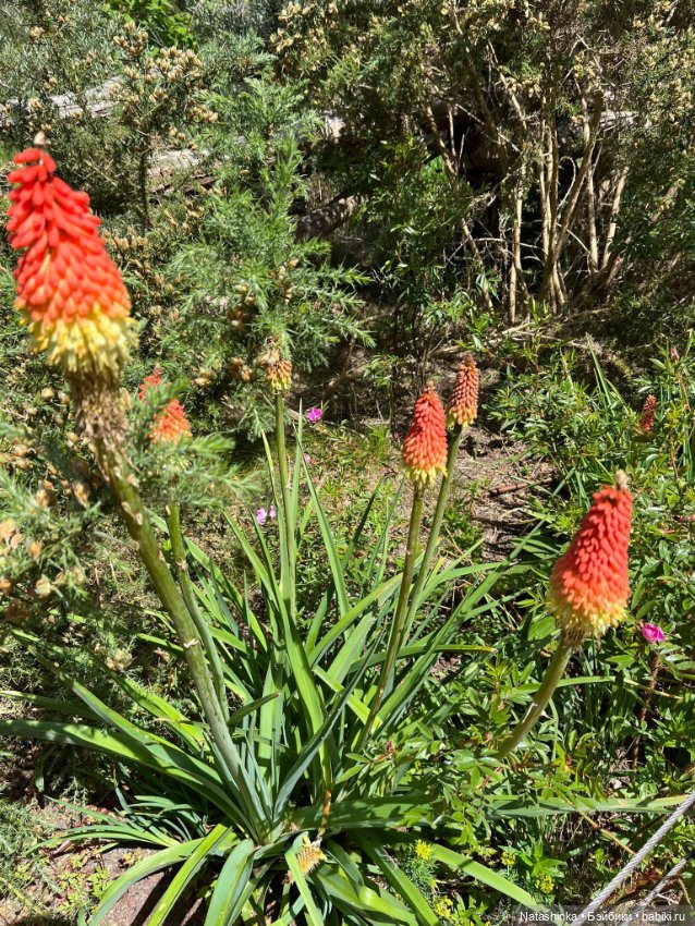 Fashion Dolls 372 — Туризм и путешествия: фотоотчеты из поездок (фото 6)