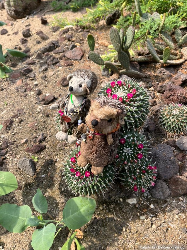 Fashion Dolls 372 — Туризм и путешествия: фотоотчеты из поездок