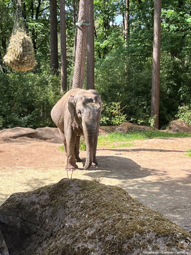 Fashion Dolls 372 — Туризм и путешествия: фотоотчеты из поездок (фото 7)