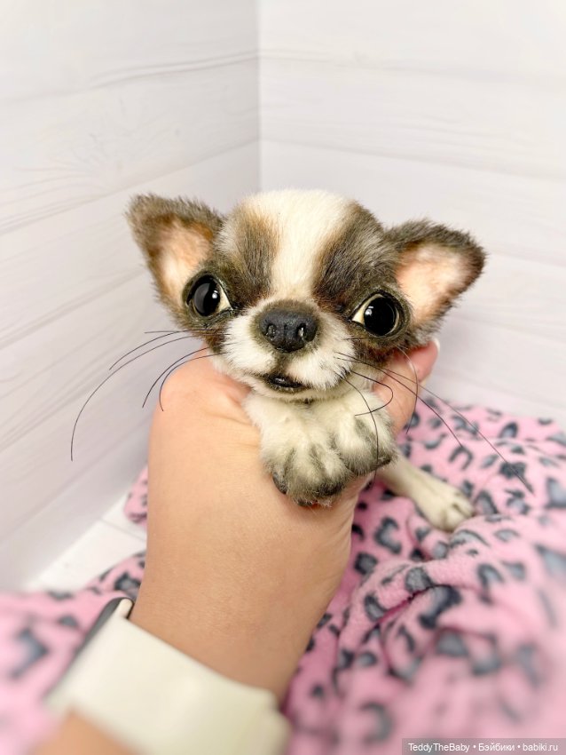 Macho 🐾🐶 — Реалистичные игрушки и звери (Натюр): собаки (фото 5)