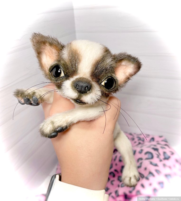 Macho 🐾🐶 — Реалистичные игрушки и звери (Натюр): собаки (фото 7)