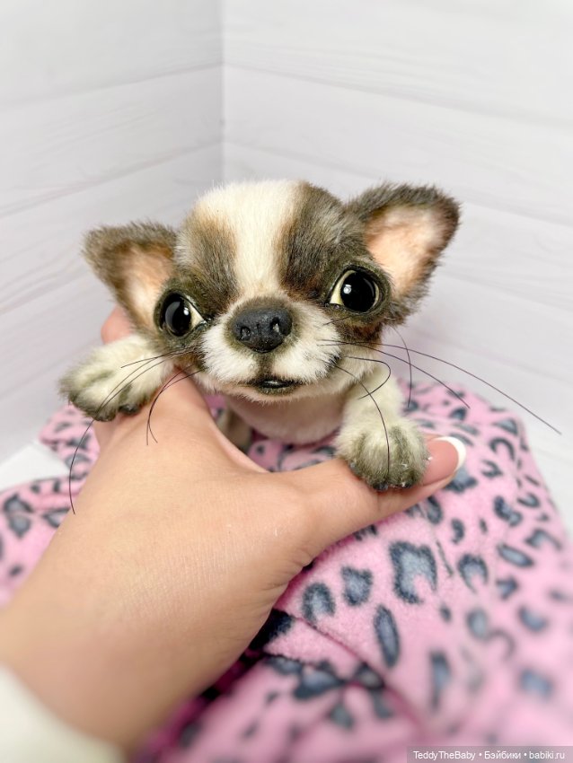 Macho 🐾🐶 — Реалистичные игрушки и звери (Натюр): собаки (фото 4)