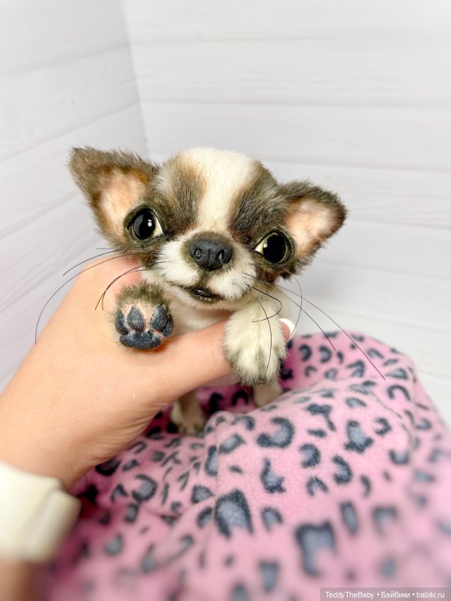 Macho 🐾🐶 — Реалистичные игрушки и звери (Натюр): собаки (фото 2)