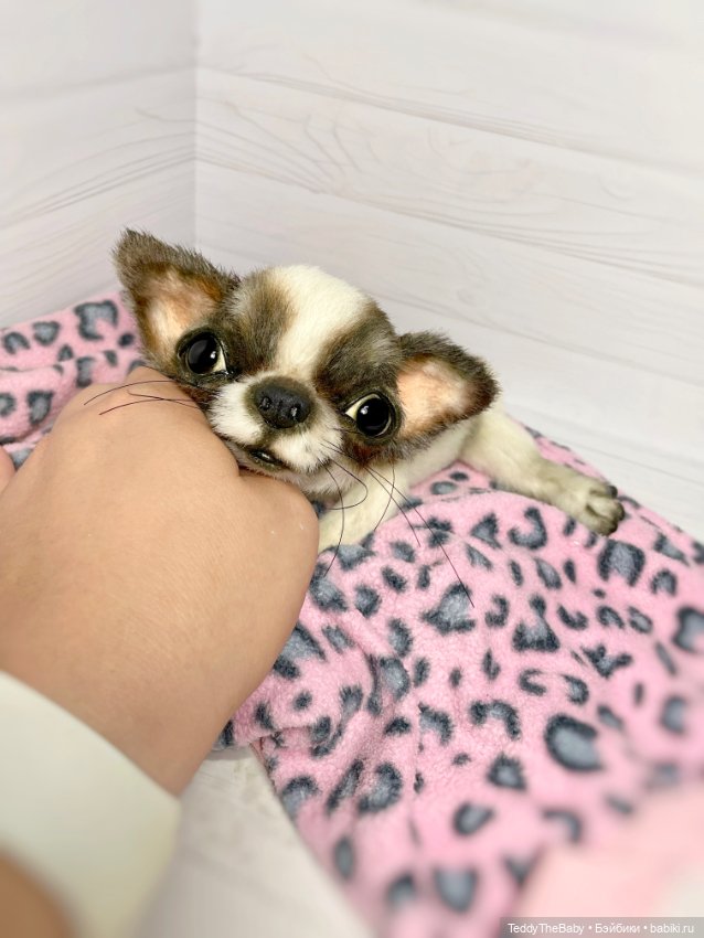 Macho 🐾🐶 — Реалистичные игрушки и звери (Натюр): собаки