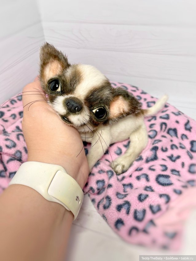 Macho 🐾🐶 — Реалистичные игрушки и звери (Натюр): собаки