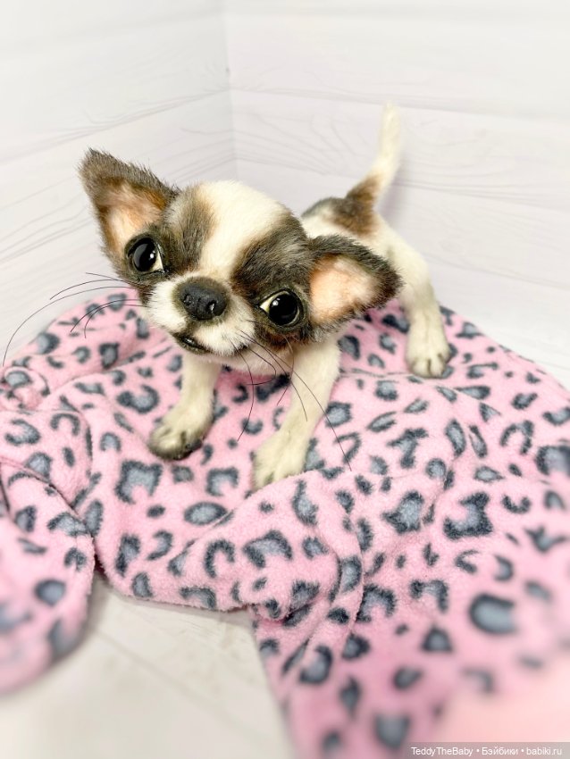 Macho 🐾🐶 — Реалистичные игрушки и звери (Натюр): собаки